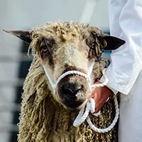 Environment & Sustainability