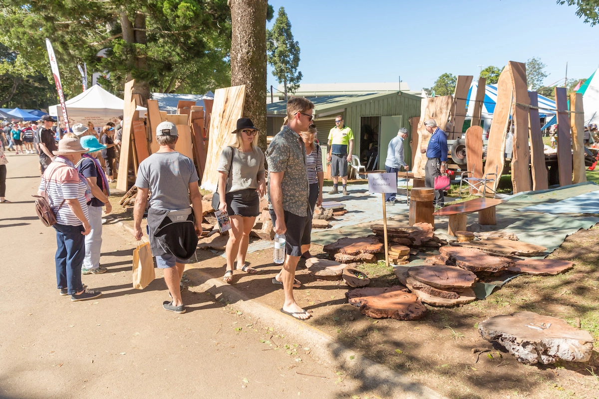 Environment & Sustainability